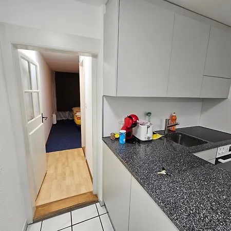 Real Swiss Classic Apartment & Up To 7 Seats Cars Rental Option Bern Exterior photo