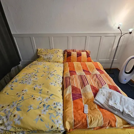 Real Swiss Classic Apartment & Up To 7 Seats Cars Rental Option Bern Exterior photo