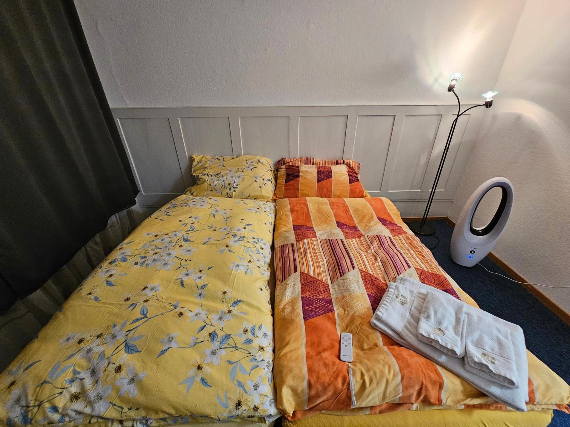 Real Swiss Classic & Up To 7 Seats Cars Option Appartement